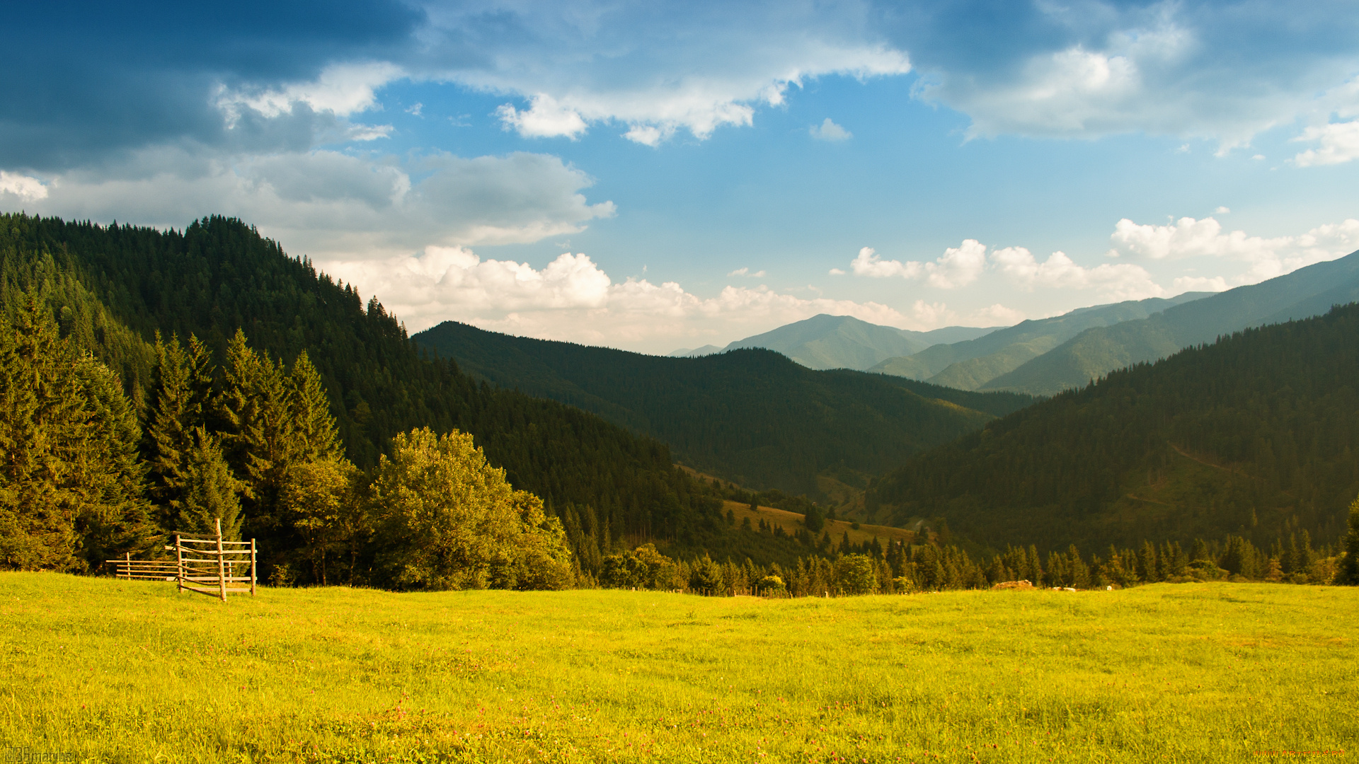 природа, пейзажи, зелень, трава, деревья, лес