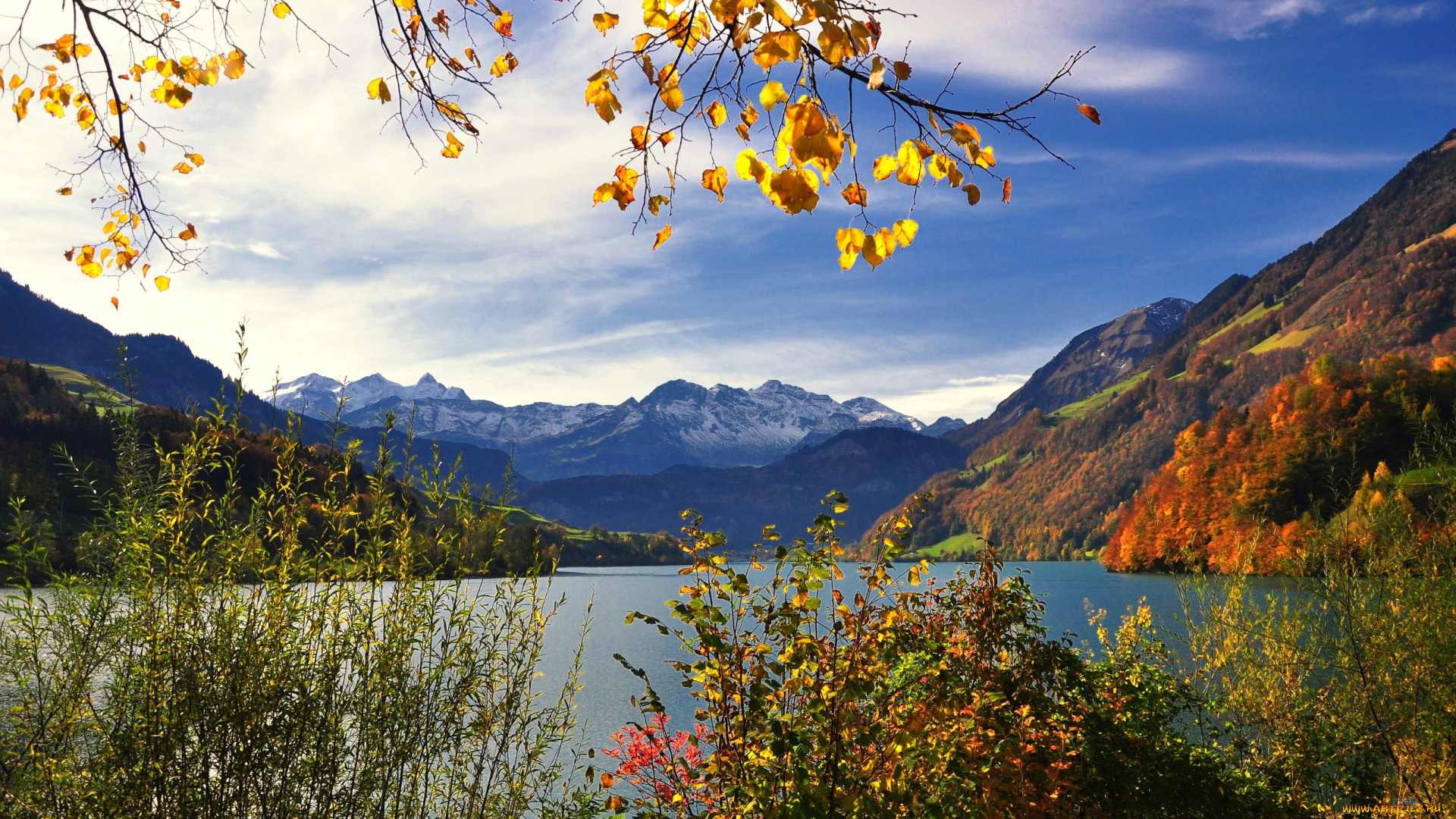 природа, реки, озера, вода, горы, деревья, листья, осень