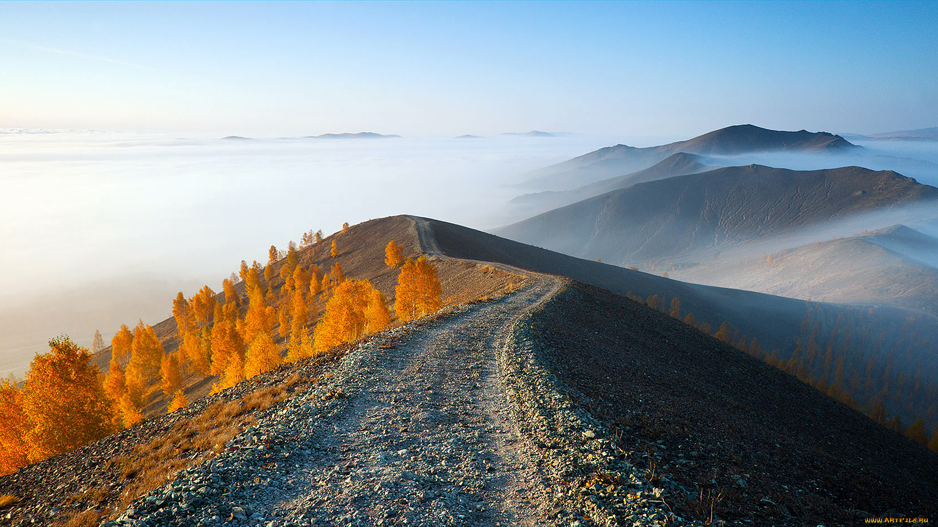 природа, горы, перевал, деревья