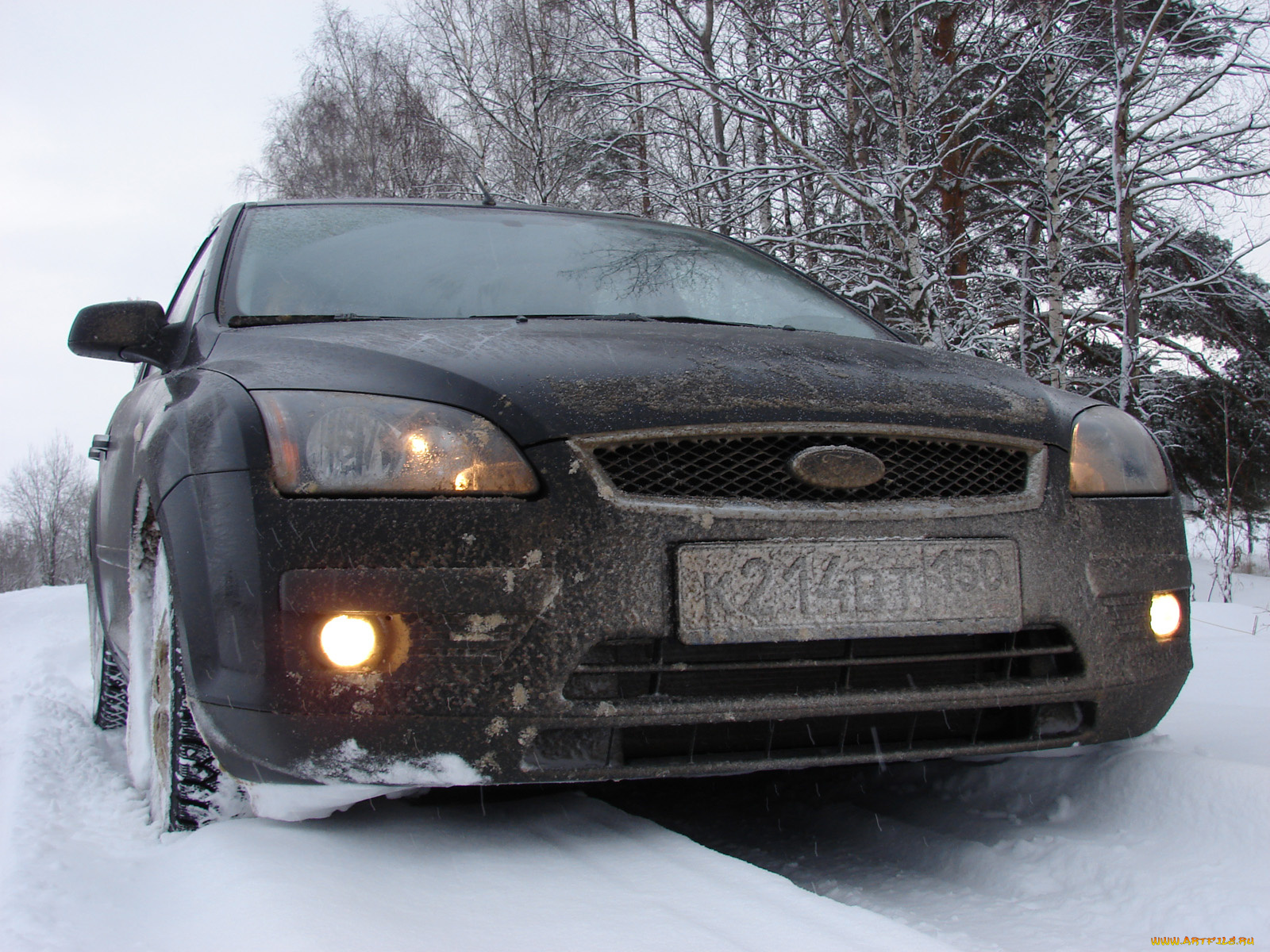 ford, focus, universal, ii, автомобили