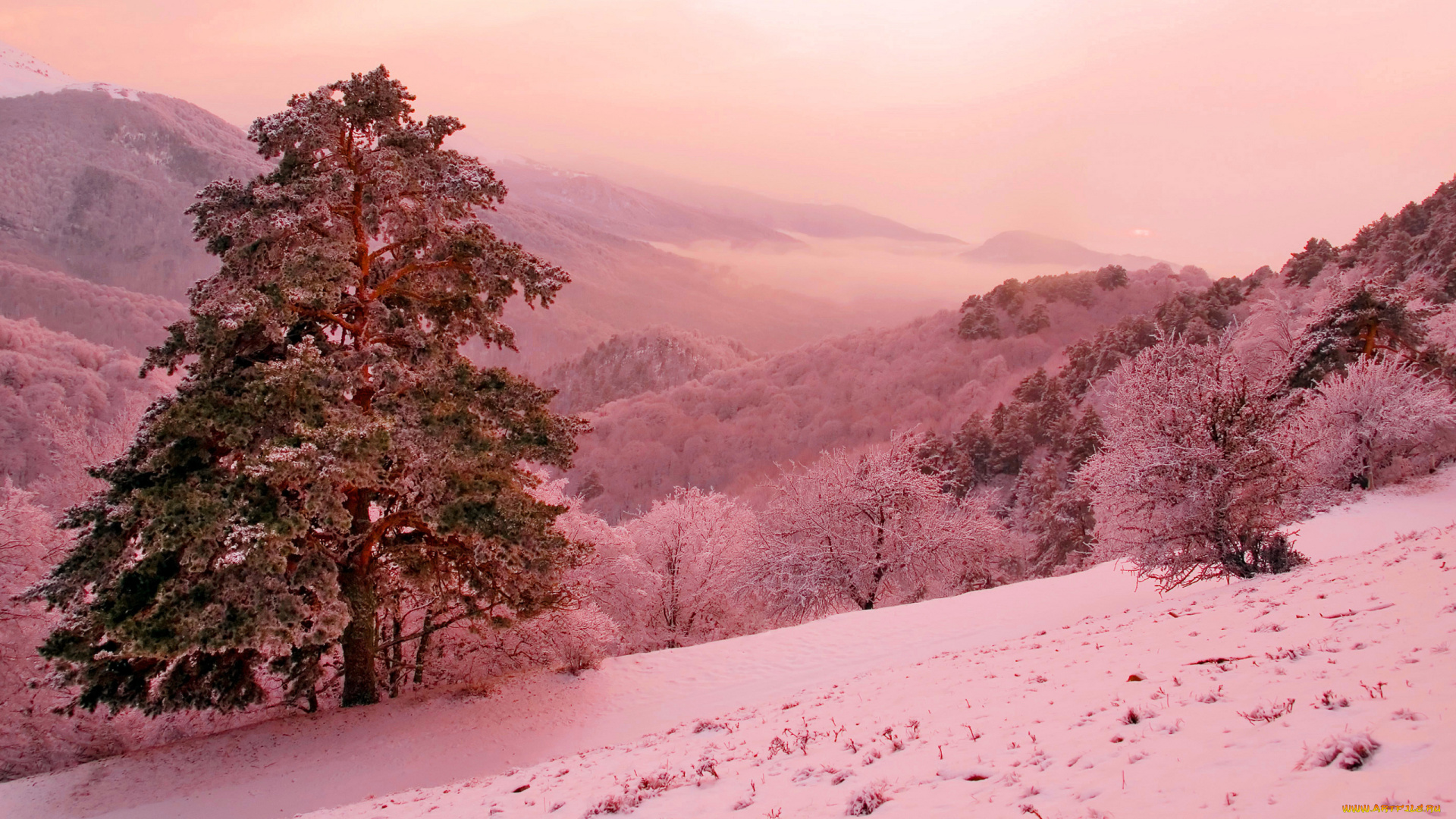 природа, зима, пейзаж, снег, горы, деревья