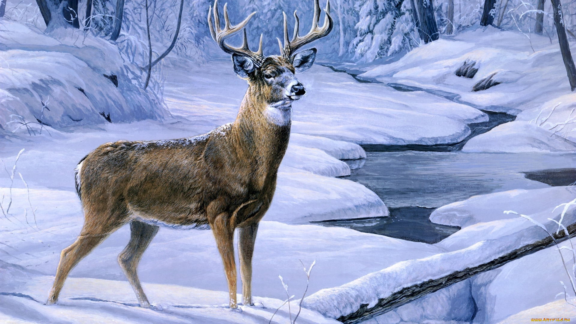 рисованные, животные, олени, лес, снег, олень, зима