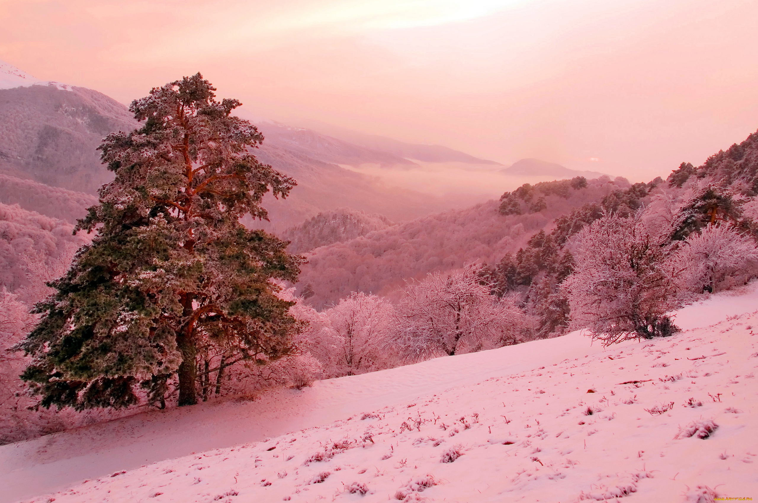 природа, зима, пейзаж, снег, горы, деревья