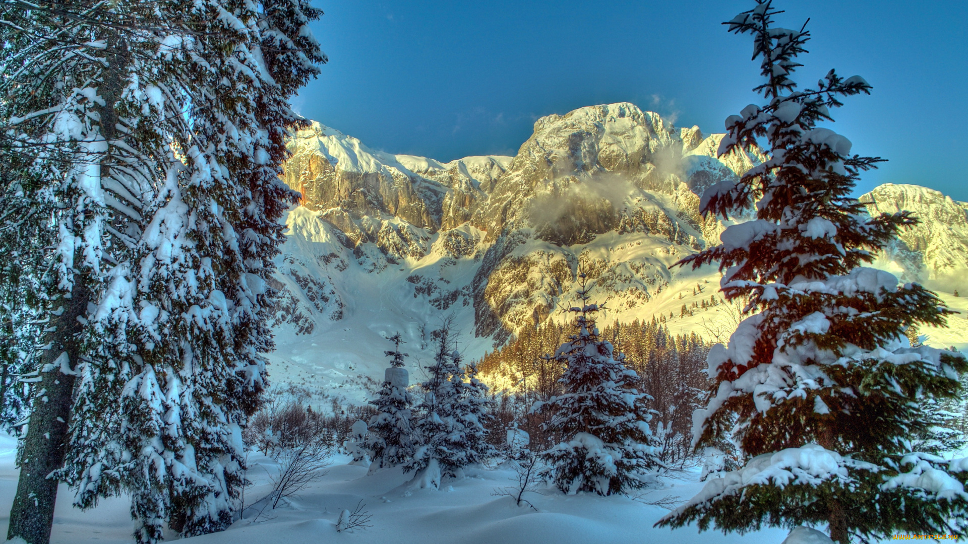austrian, alps, природа, зима, снег, ели