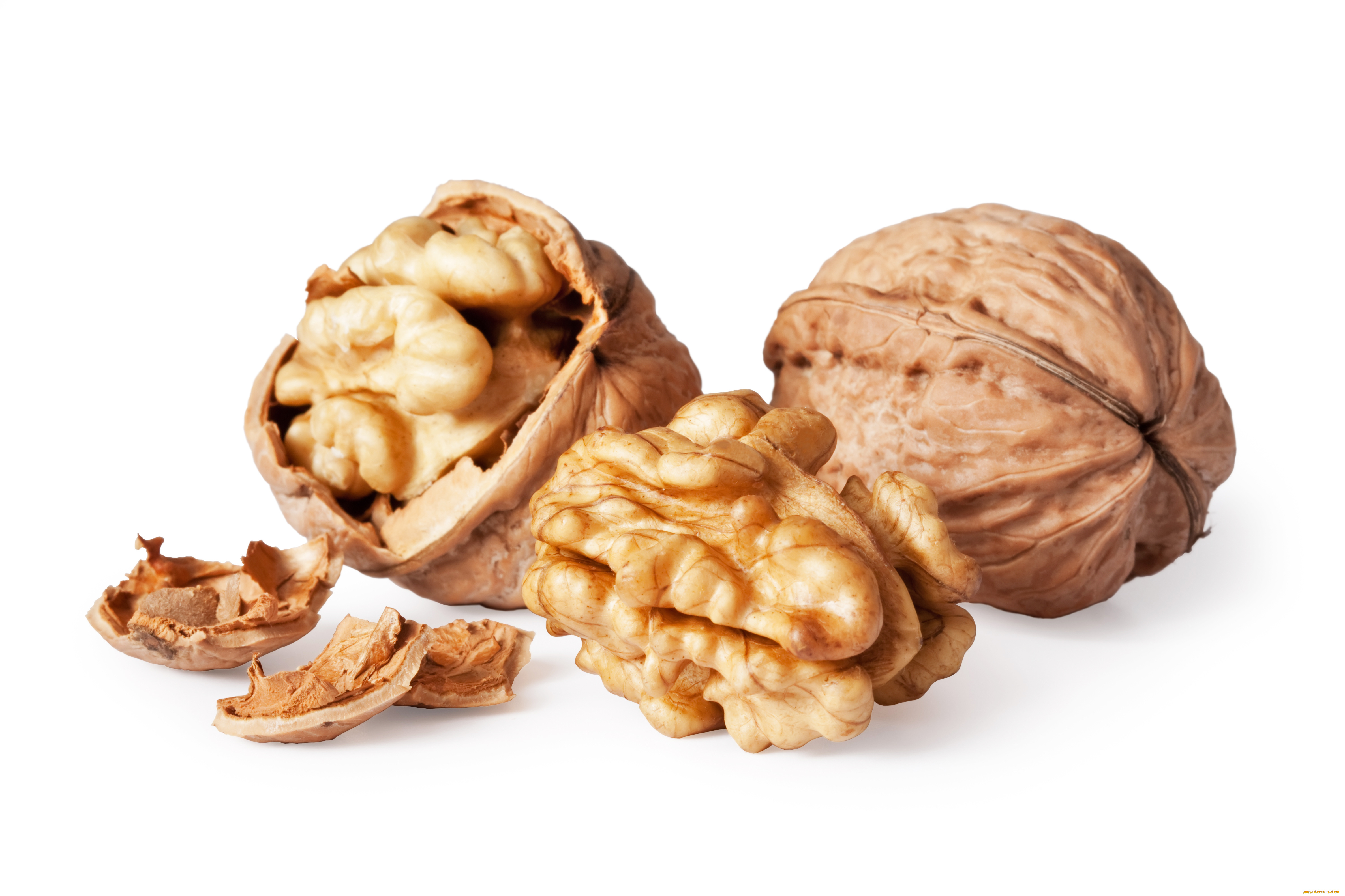 walnuts, еда, орехи, каштаны, грецкие, скорлупа, ядро