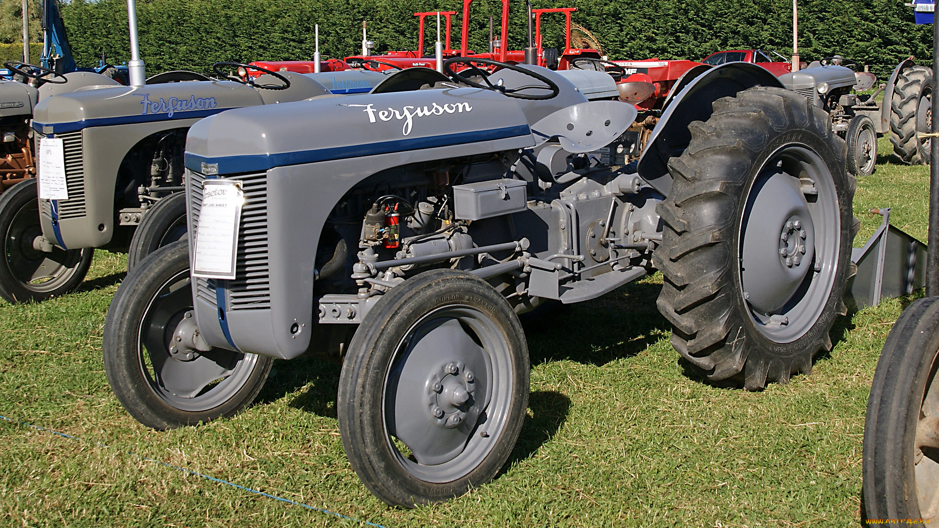 1954, ferguson, tea, tractor, техника, тракторы, колесный, трактор