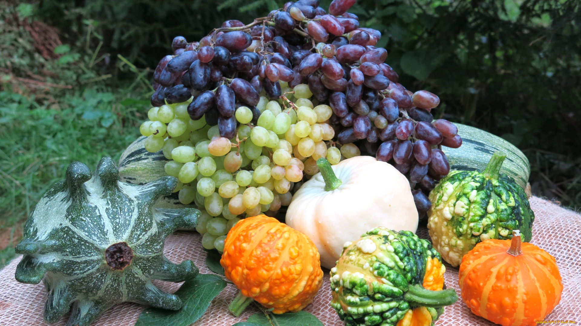 еда, фрукты, и, овощи, вместе, тыква, виноград