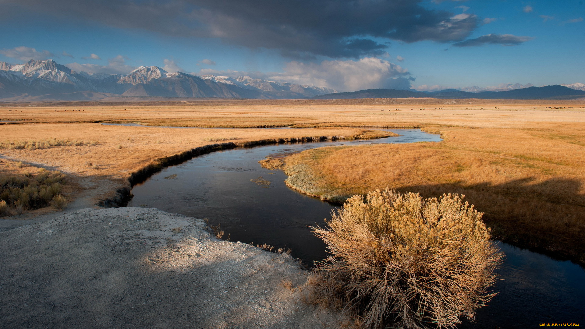 природа, реки, озера, clouds, sunrise, owens, river