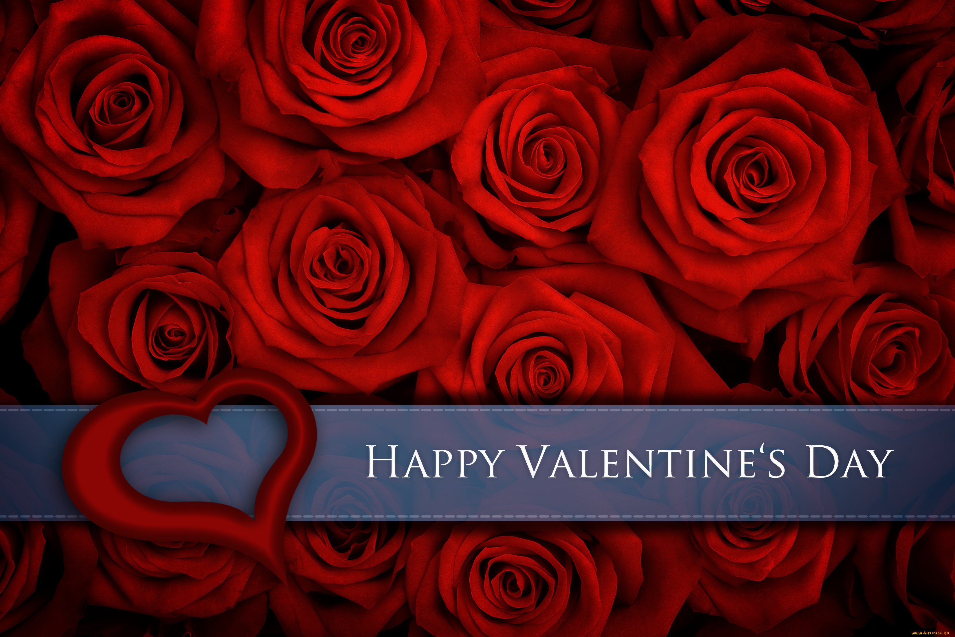 праздничные, день, святого, валентина, , сердечки, , любовь, цветы, розы, сердечко, valentines, day