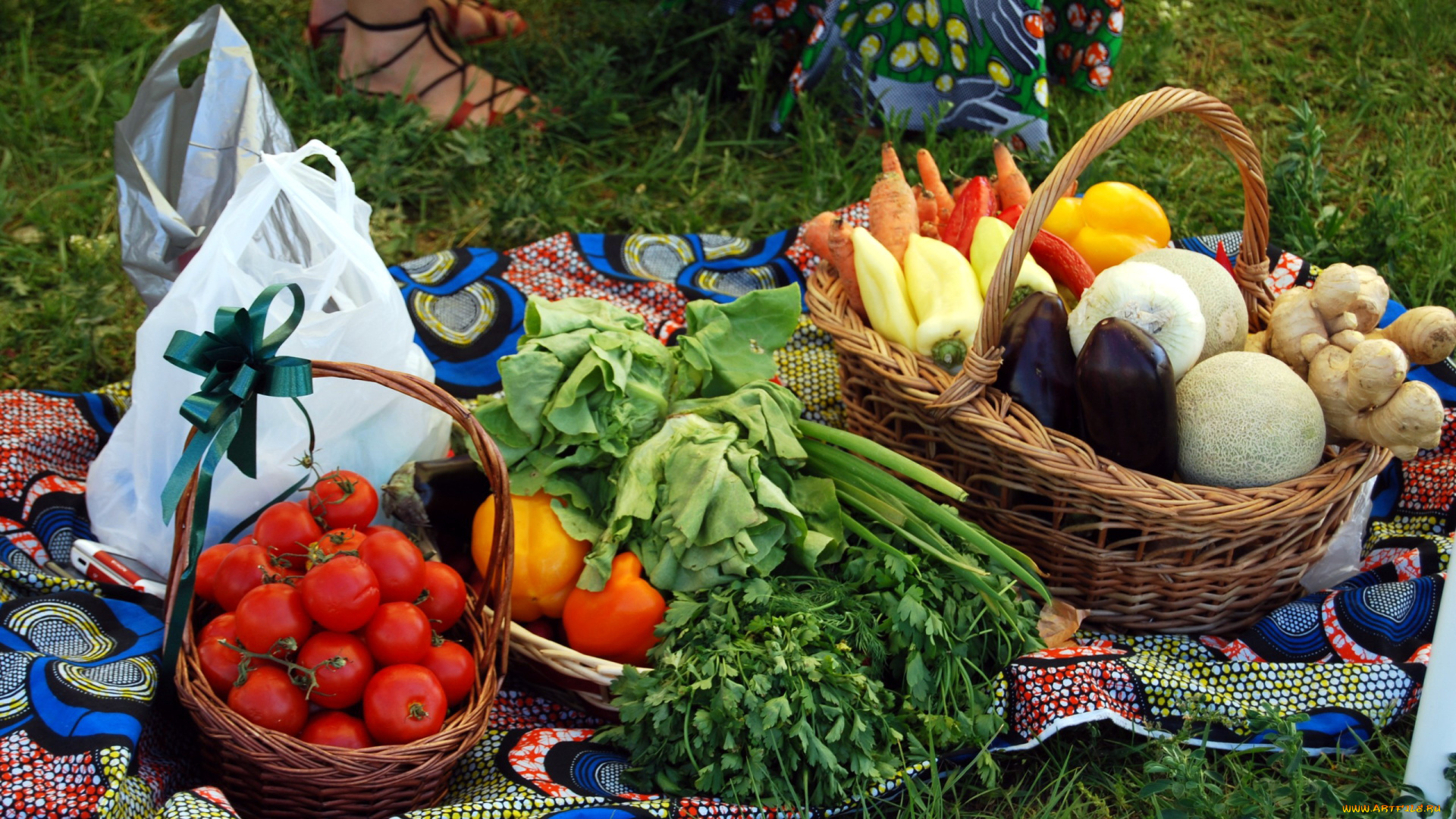 еда, овощи, перец, помидоры, петрушка, томаты
