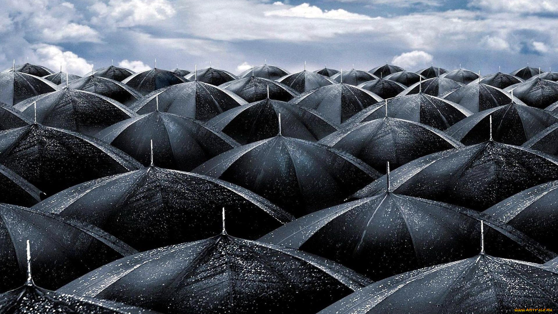разное, сумки, , кошельки, , зонты, облака, небо, мокрые, черные, зонты