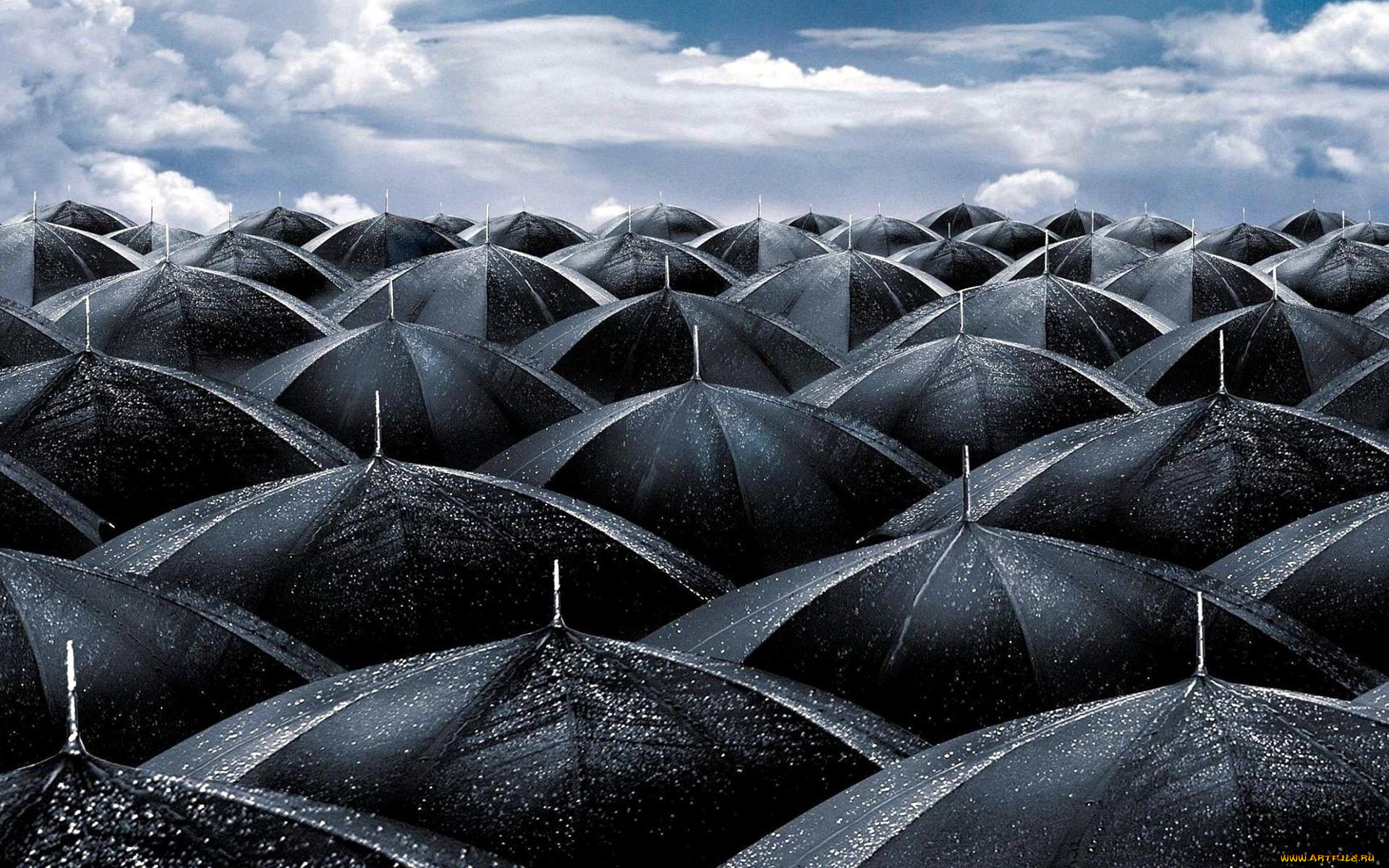 разное, сумки, , кошельки, , зонты, облака, небо, мокрые, черные, зонты