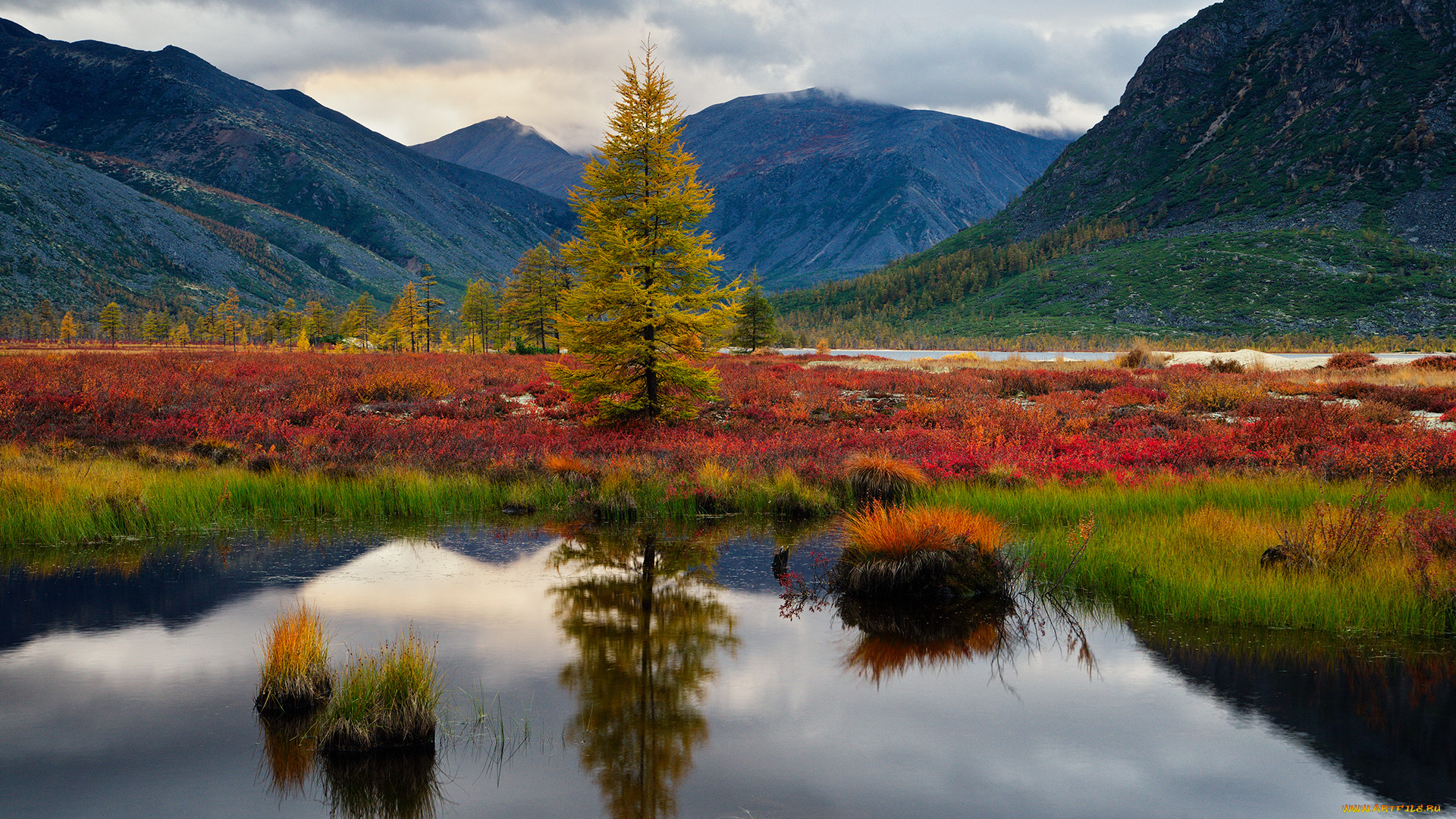 kolyma, природа, реки, озера, красота, вид, озеро, край, осень, пейзаж