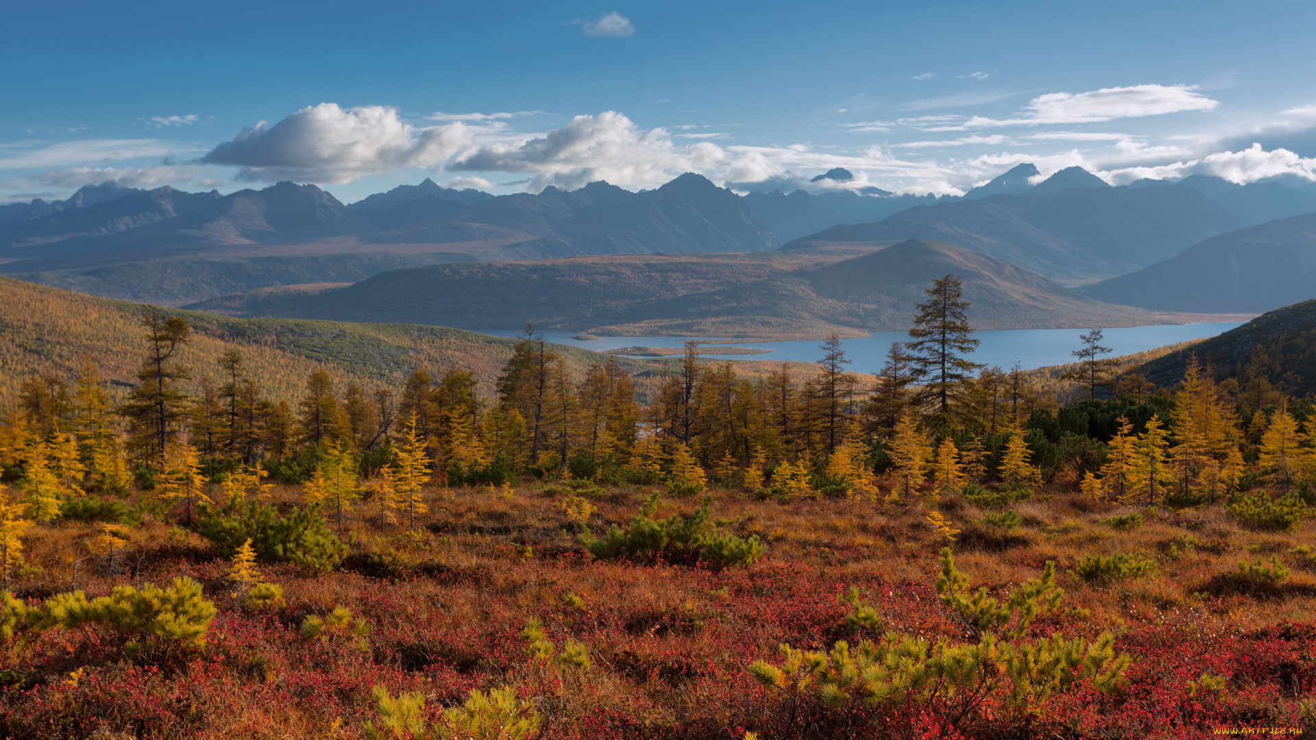 kolyma, природа, реки, озера, река, край, красота, вид, пейзаж, осень