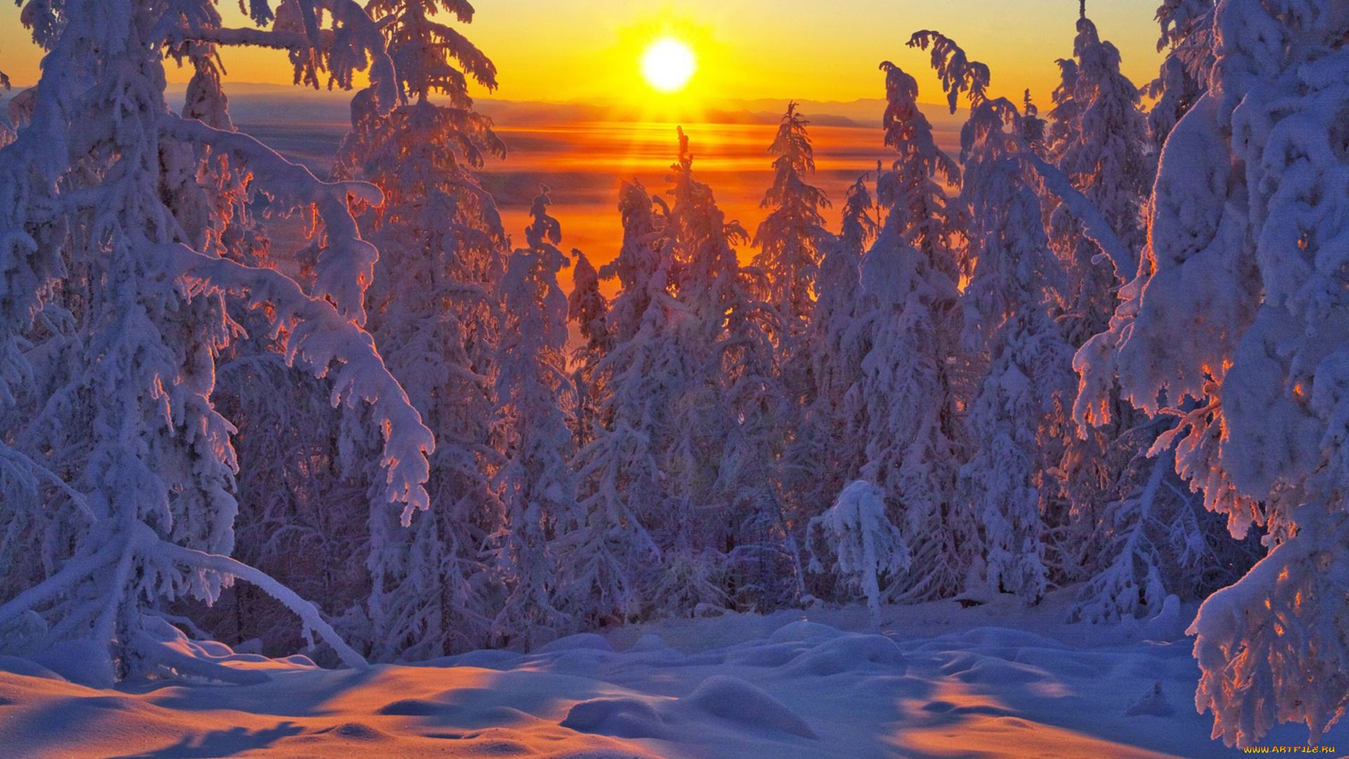 Якутия, , оймяконский, район, природа, зима, вече, холод, деревья, район, пейзаж, мороз, снег, оймяконский, закат