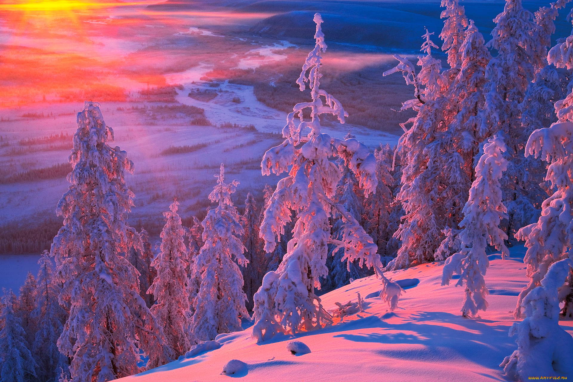 Якутия, , оймяконский, район, природа, зима, закат, вече, холод, район, деревья, снег, оймяконский, пейзаж, мороз