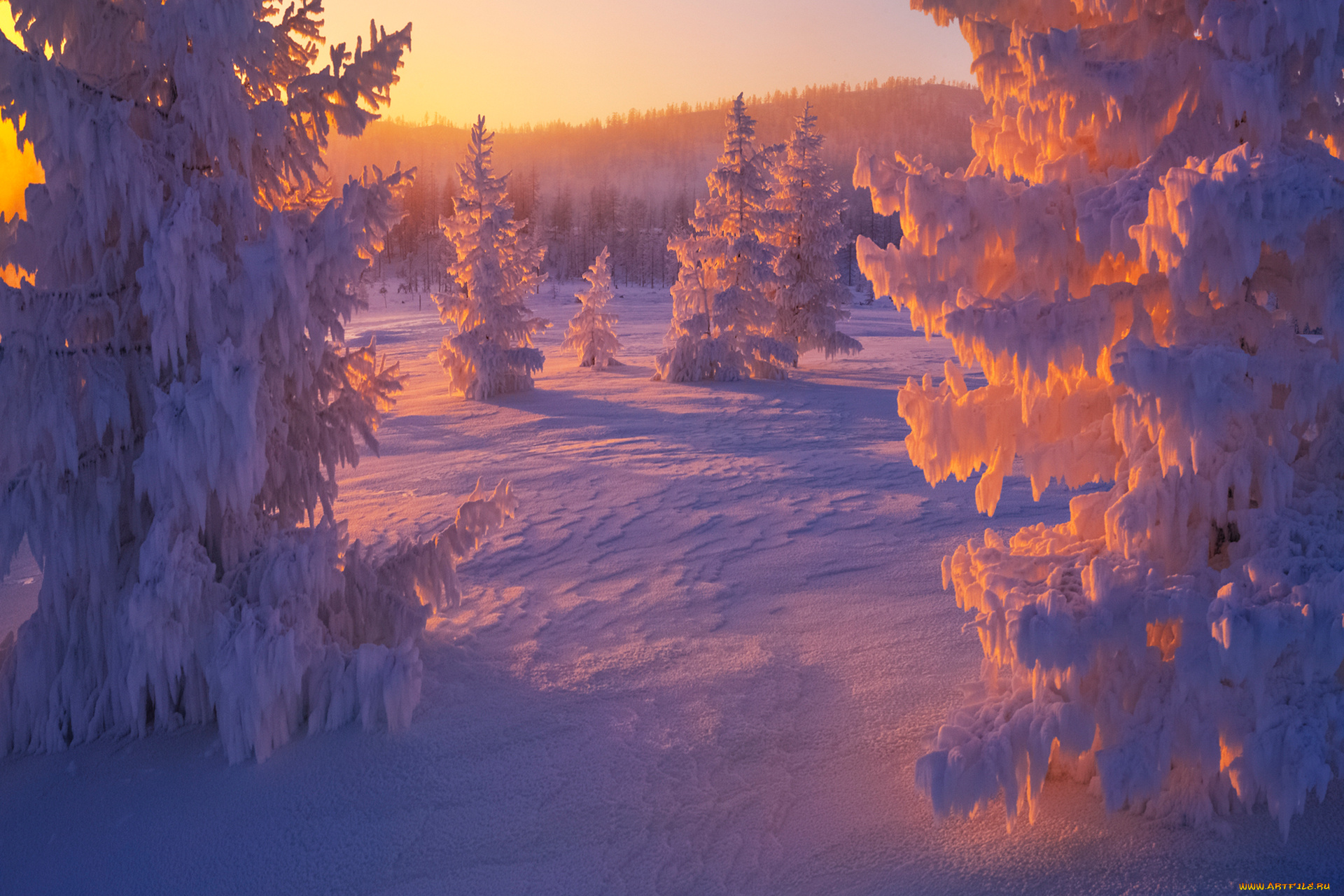 Якутия, , оймяконский, район, природа, зима, закат, вече, оймяконский, район, снег, деревья, холод, пейзаж, мороз