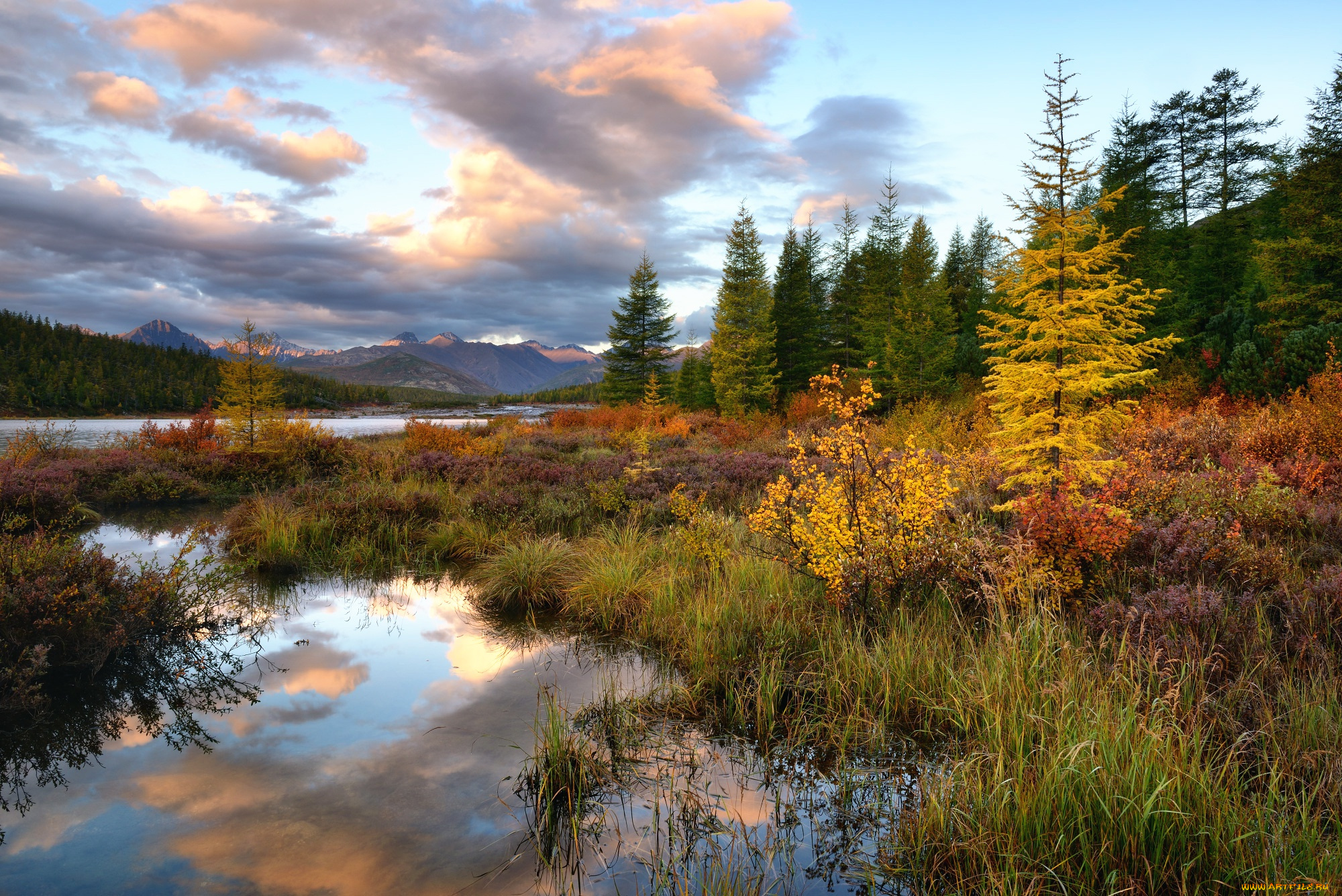 kolyma, природа, реки, озера, осень, вид, пейзаж, край, красота, река