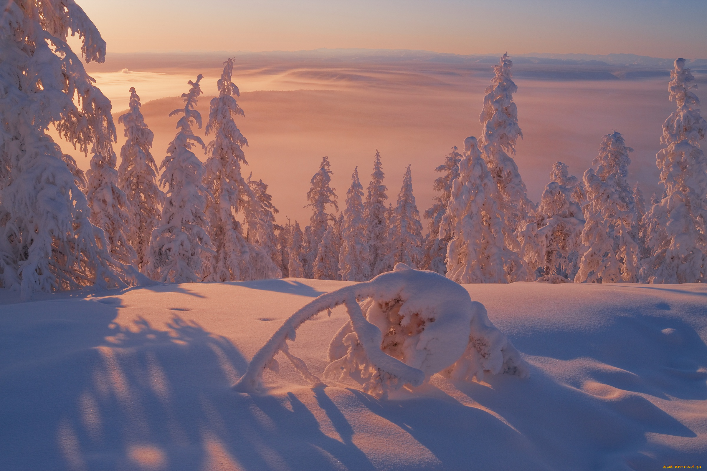Якутия, , оймяконский, район, природа, зима, мороз, оймяконский, пейзаж, вече, район, снег, деревья, холод, закат