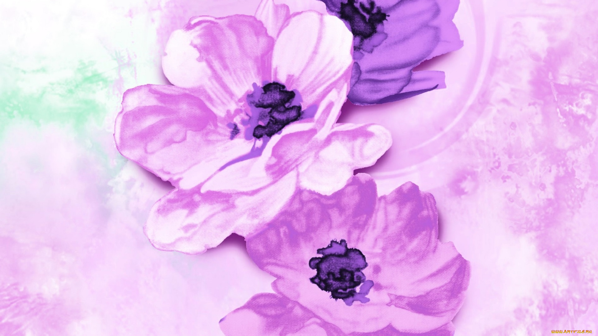 рисованное, цветы, фиолетовые