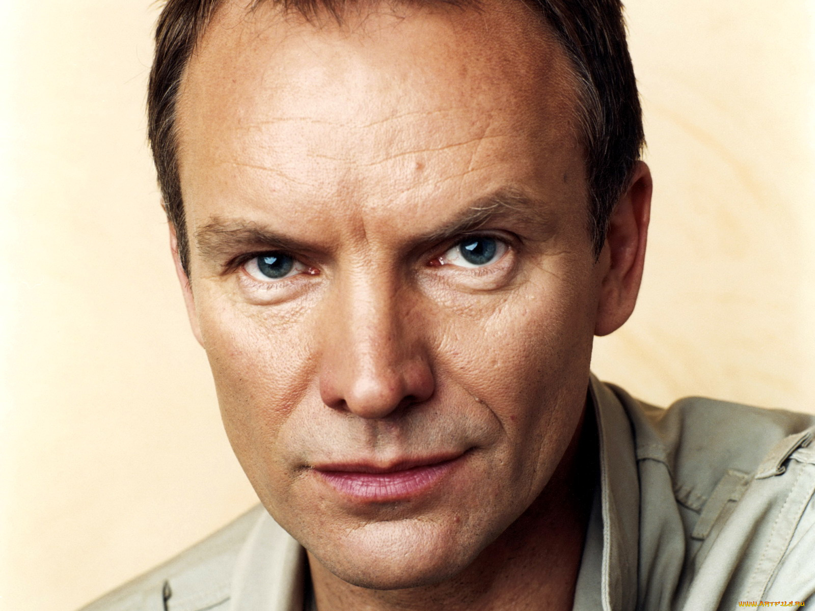 sting, музыка