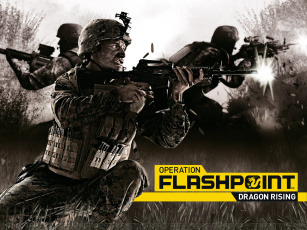 Картинка operation flashpoint dragon rising видео игры