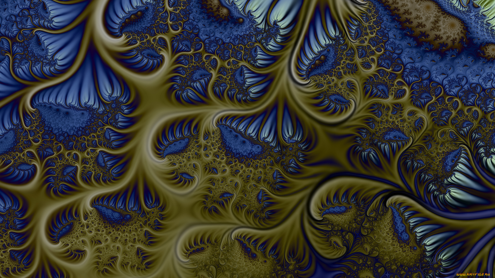 3д, графика, fractal, , фракталы, фон, цвета, узор