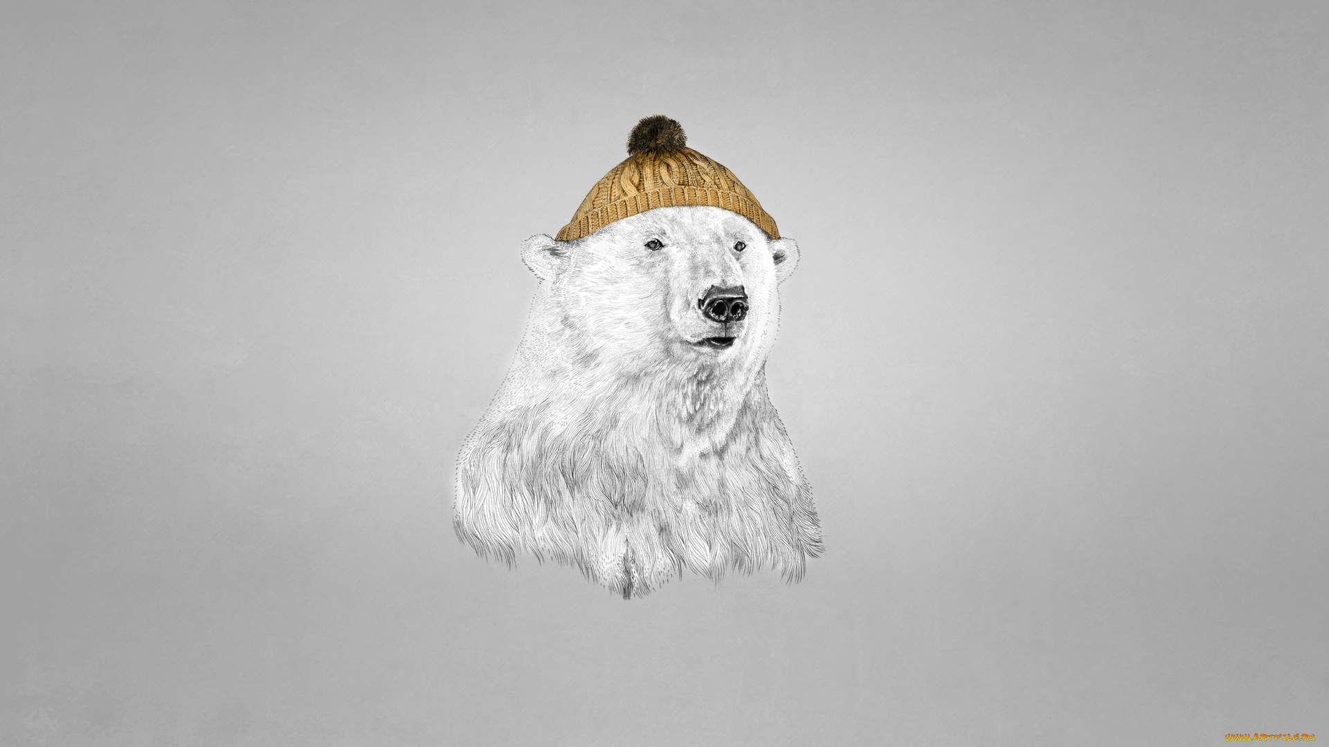 белый, медведь, в, шапке, рисованные, минимализм, белый, медведь, шапка