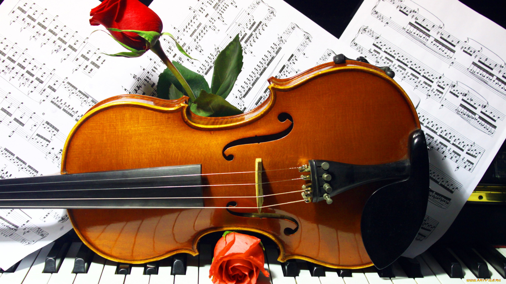 музыка, музыкальные, инструменты, клавиши, скрипка, ноты, розы