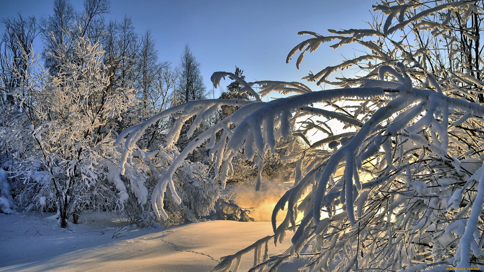 природа, зима, ветки, деревья, снег