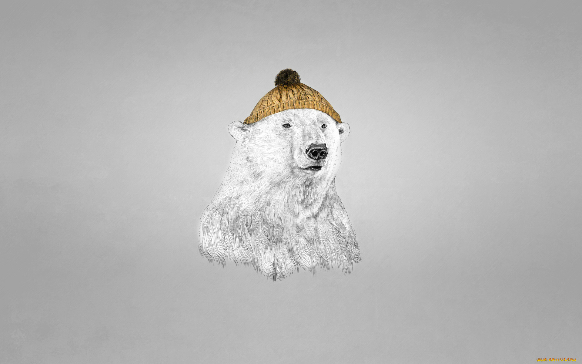 белый, медведь, в, шапке, рисованные, минимализм, белый, медведь, шапка