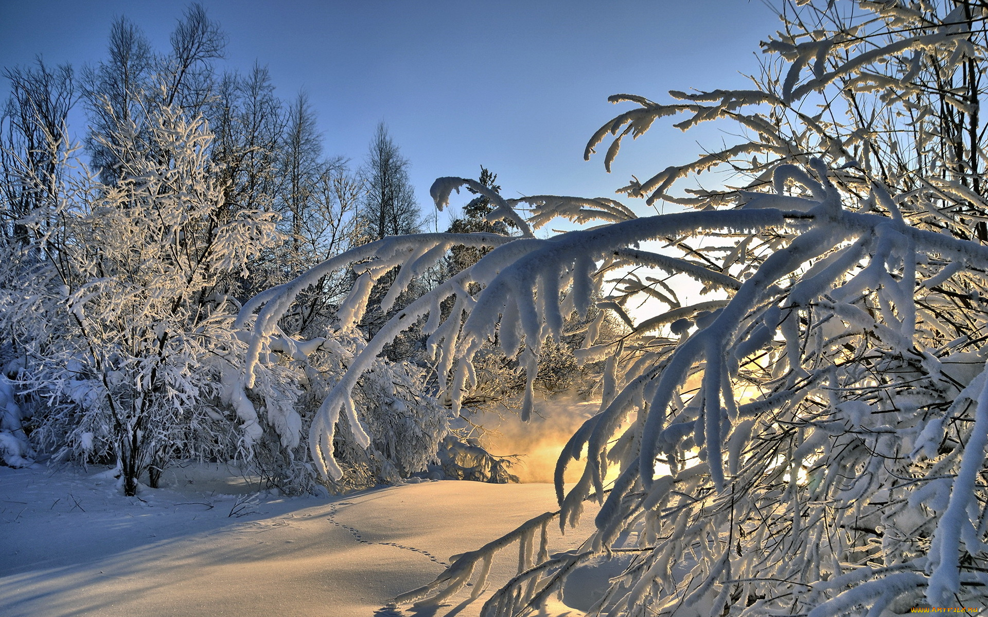 природа, зима, ветки, деревья, снег