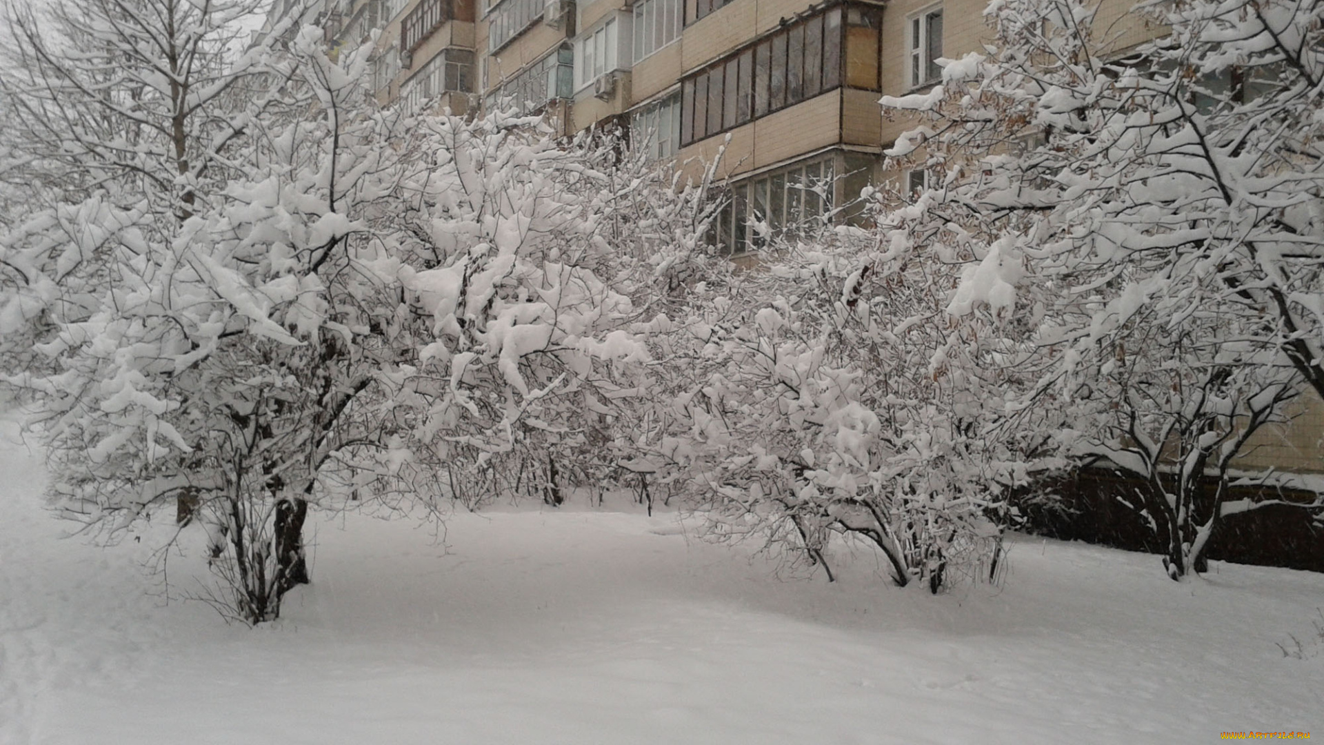 киев, в, феврале, природа, зима, троещина, киев, снег, дом