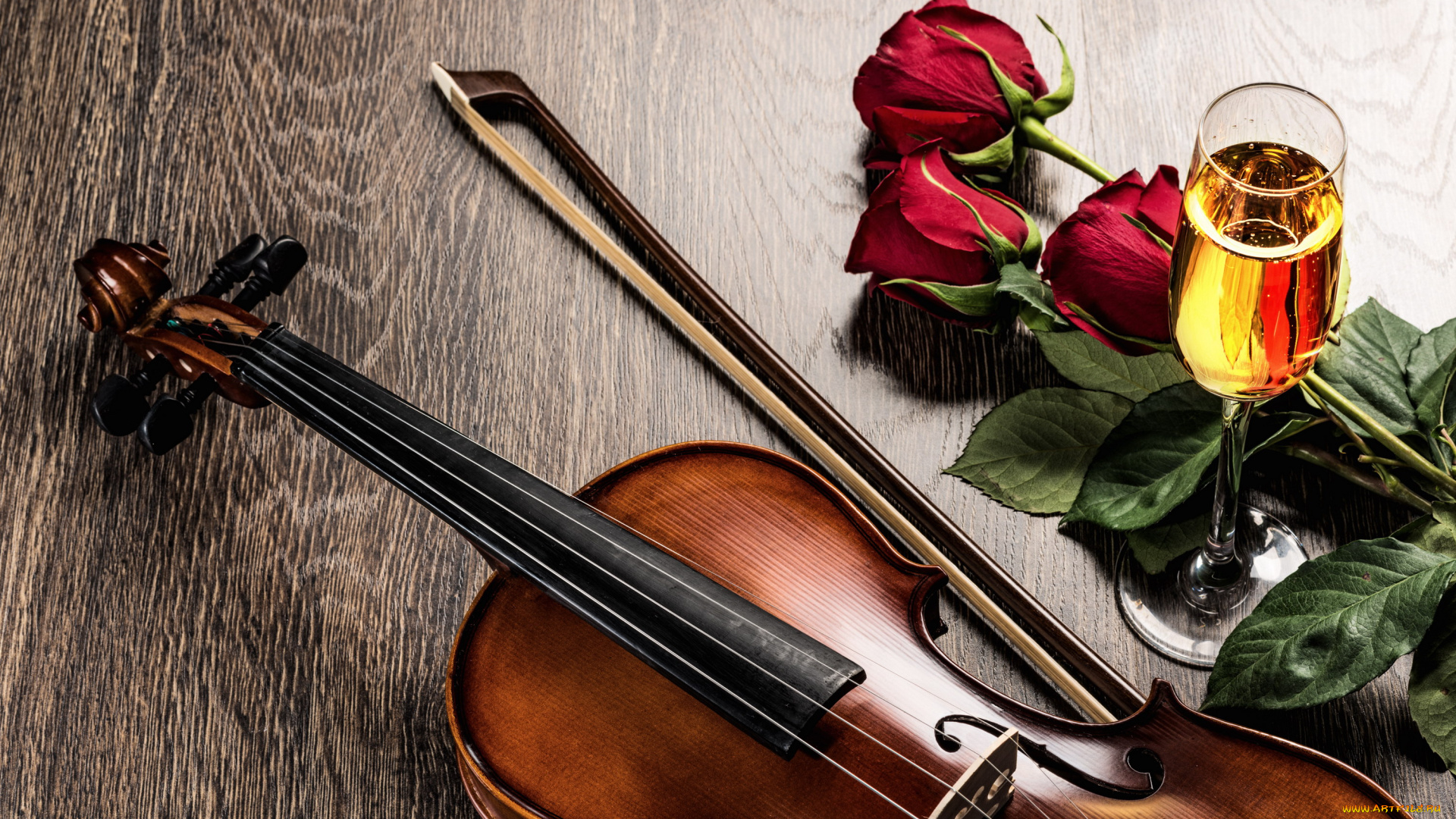 музыка, -музыкальные, инструменты, скрипка, розы, шампанское, бокал