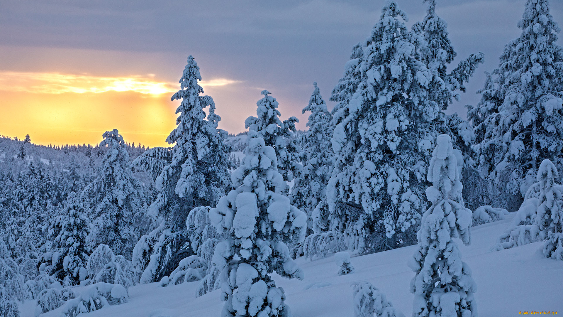 природа, зима, finland, lapland, финляндия, лапландия, снег, деревья
