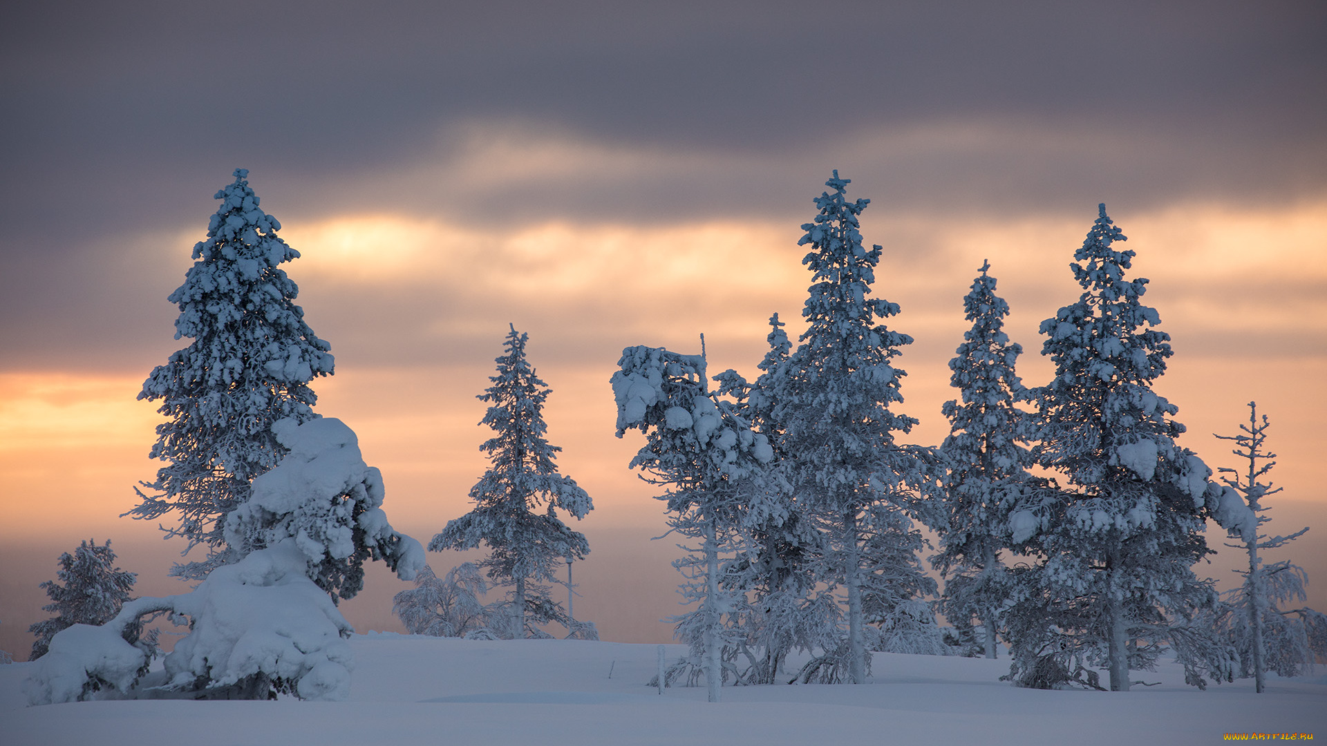 природа, зима, finland, lapland, финляндия, лапландия, снег, деревья