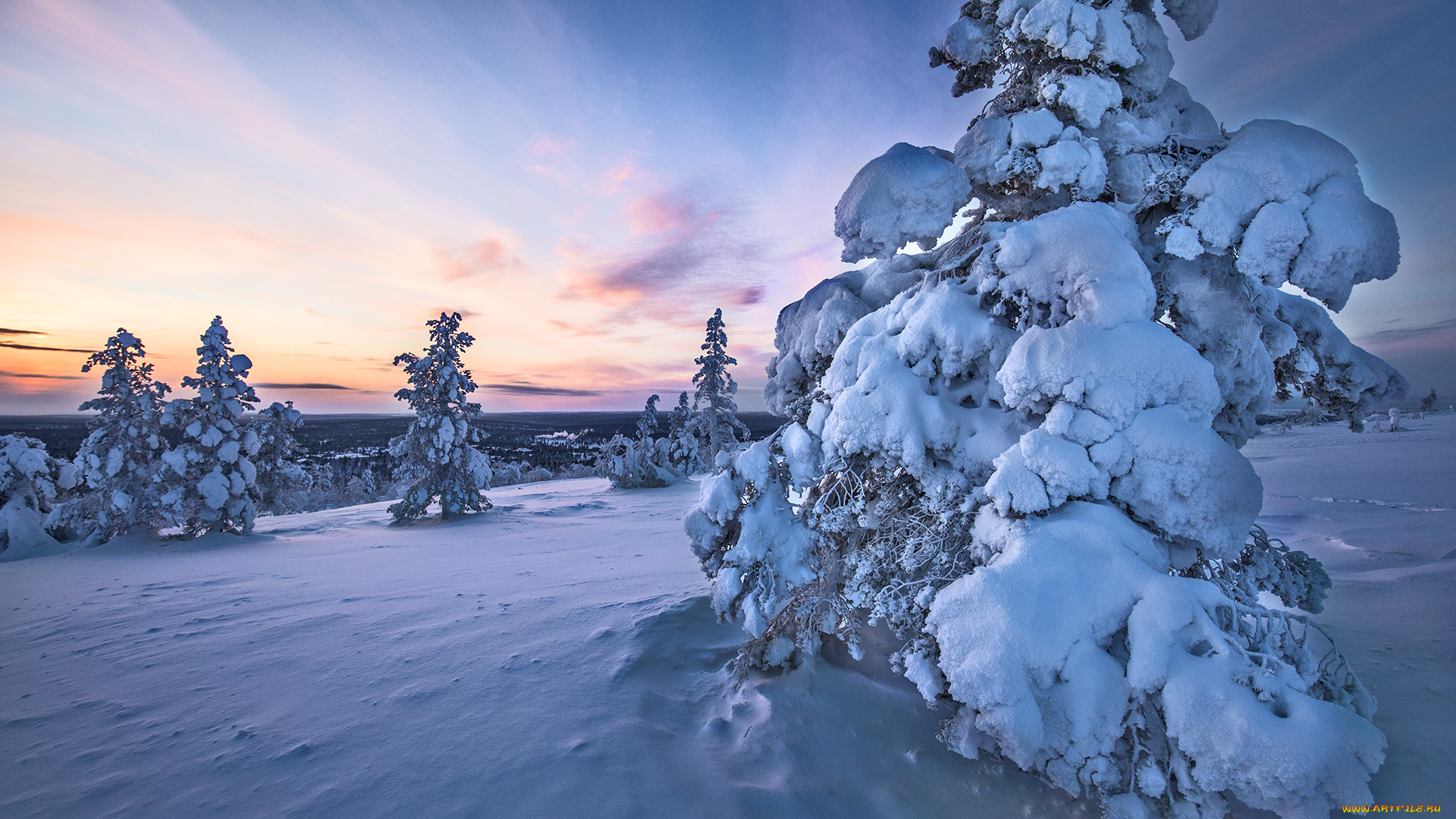 природа, зима, finland, lapland, финляндия, лапландия, снег, деревья