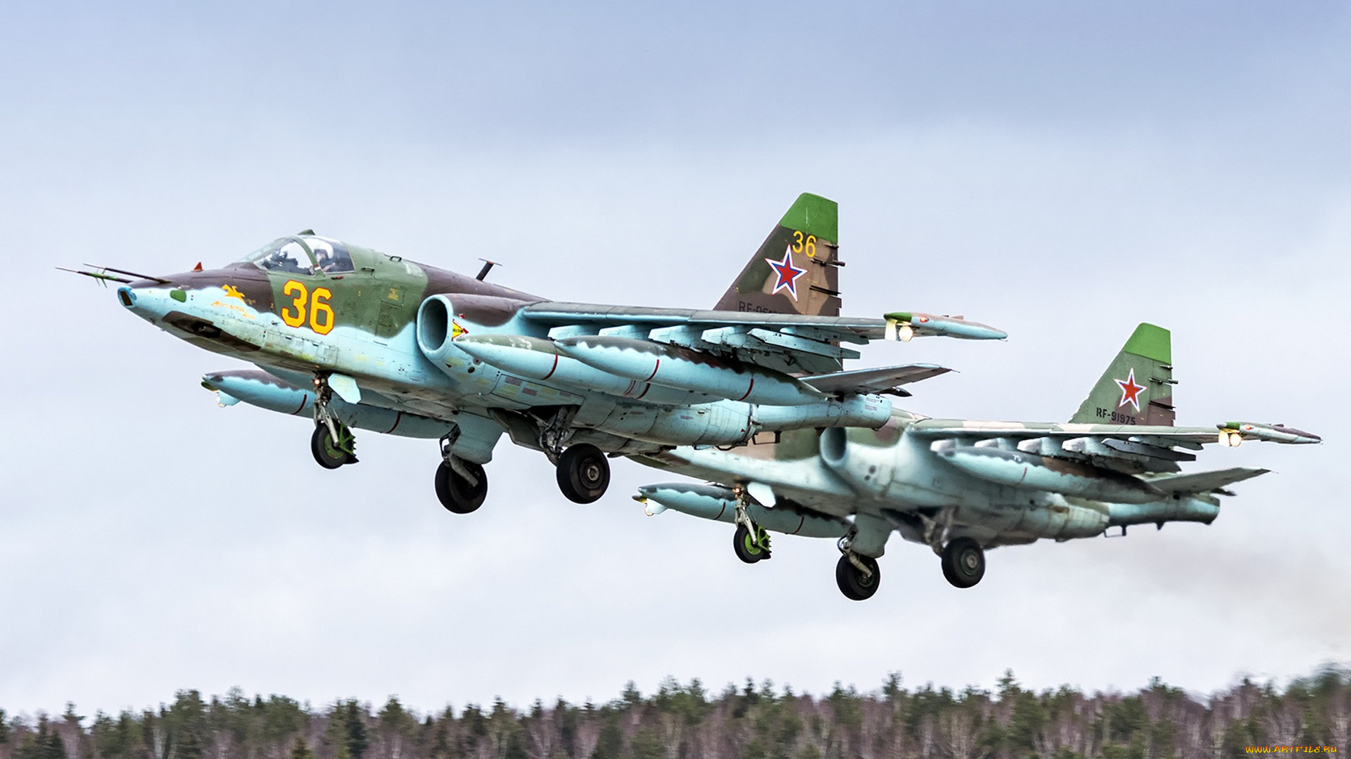 su-25bm, авиация, боевые, самолёты, ввс, россия