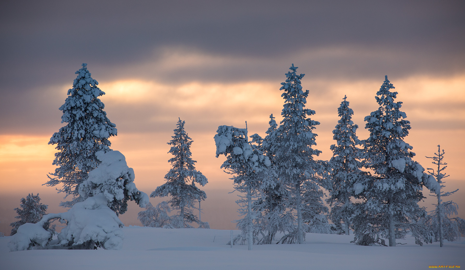 природа, зима, finland, lapland, финляндия, лапландия, снег, деревья