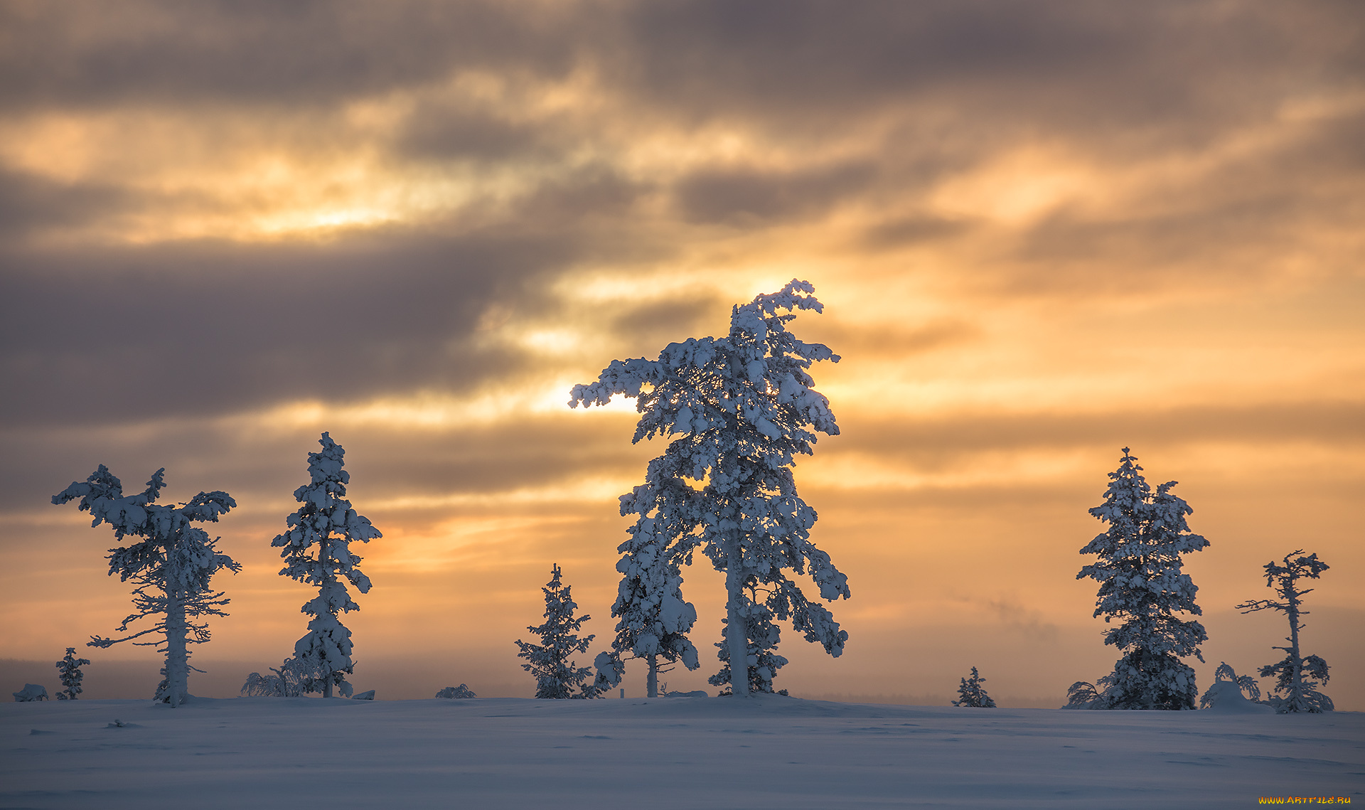 природа, зима, finland, lapland, финляндия, лапландия, снег, деревья