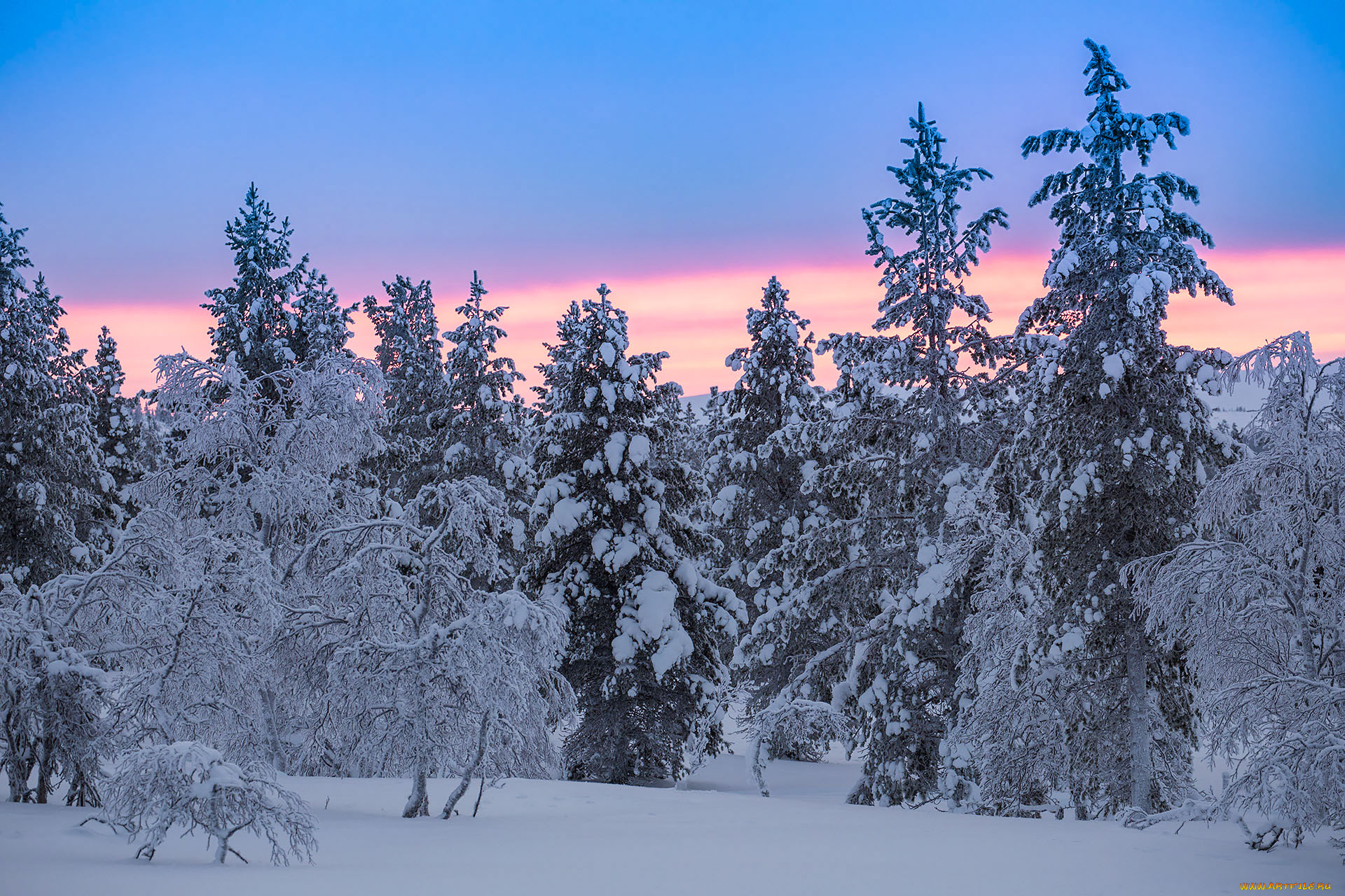 природа, зима, finland, lapland, финляндия, лапландия, снег, деревья