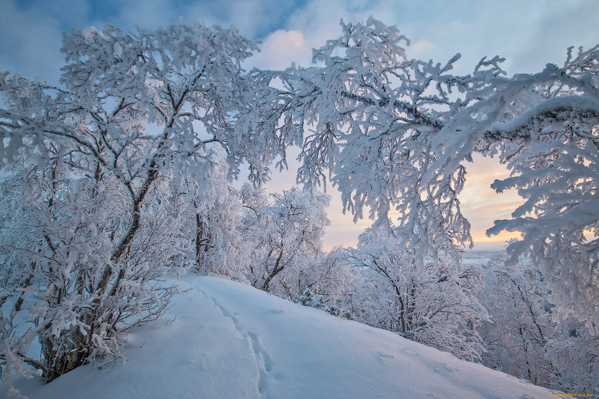 природа, зима, finland, lapland, финляндия, лапландия, снег, деревья