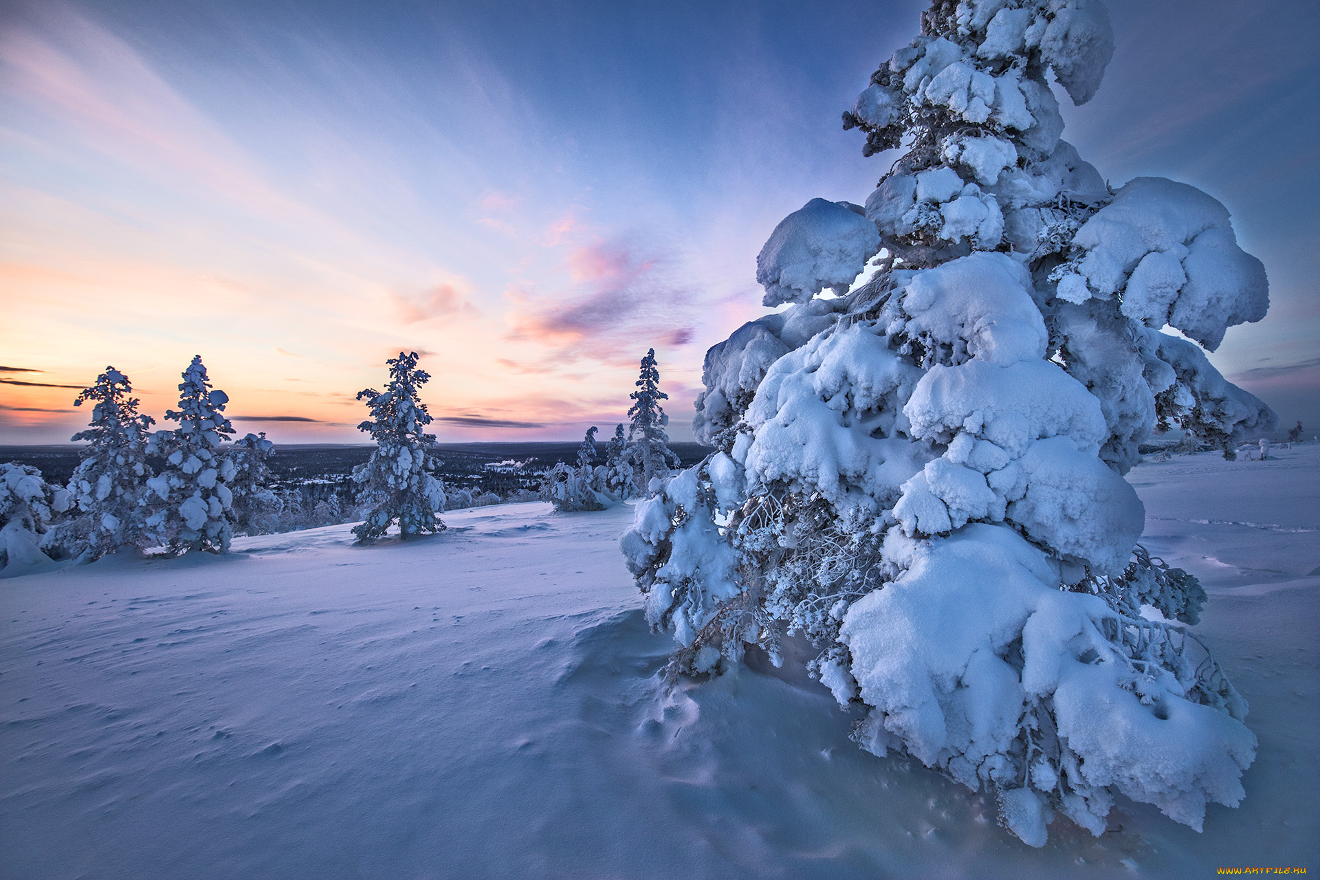 природа, зима, finland, lapland, финляндия, лапландия, снег, деревья