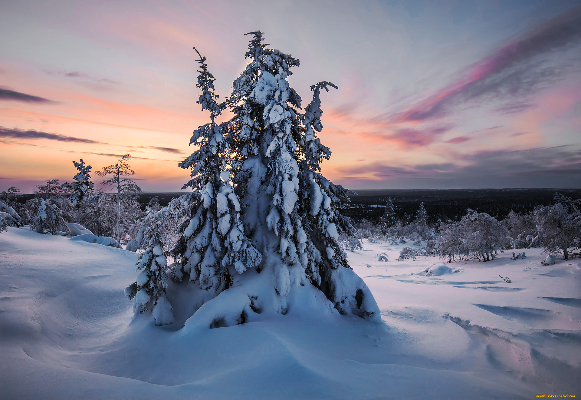 природа, зима, finland, lapland, финляндия, лапландия, снег, деревья