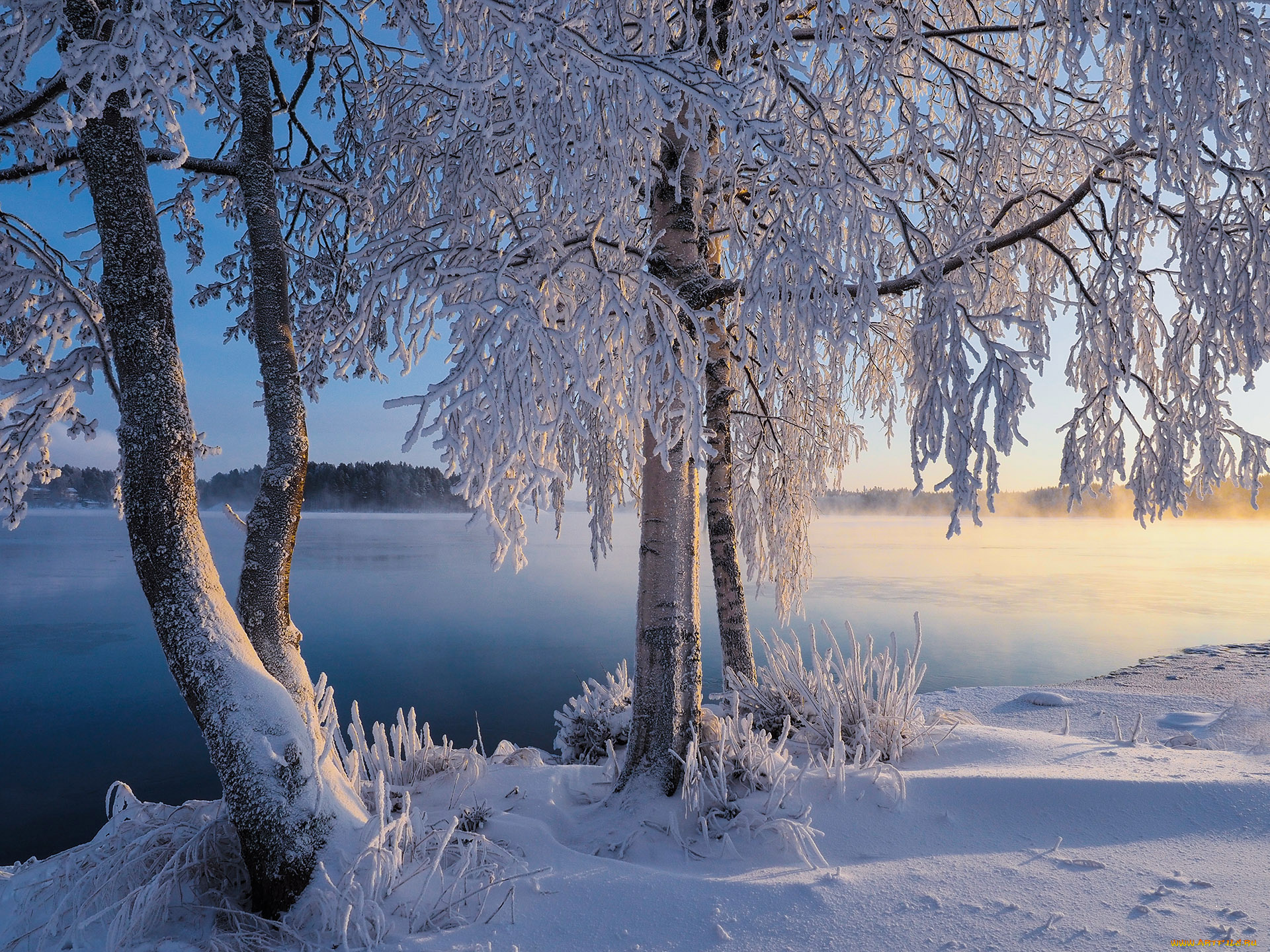 природа, зима, finland, lapland, финляндия, лапландия, снег, деревья