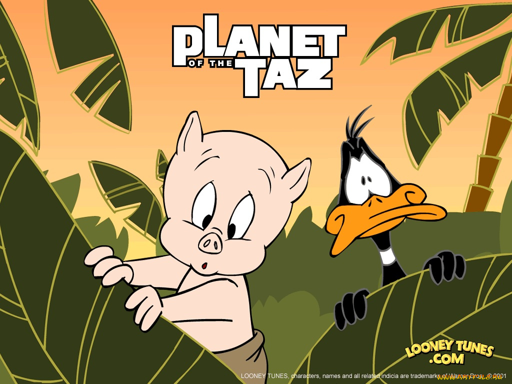 мультфильмы, looney, tunes