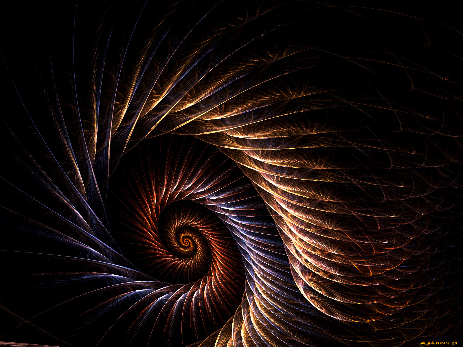 3д, графика, fractal, фракталы, фон, цвета