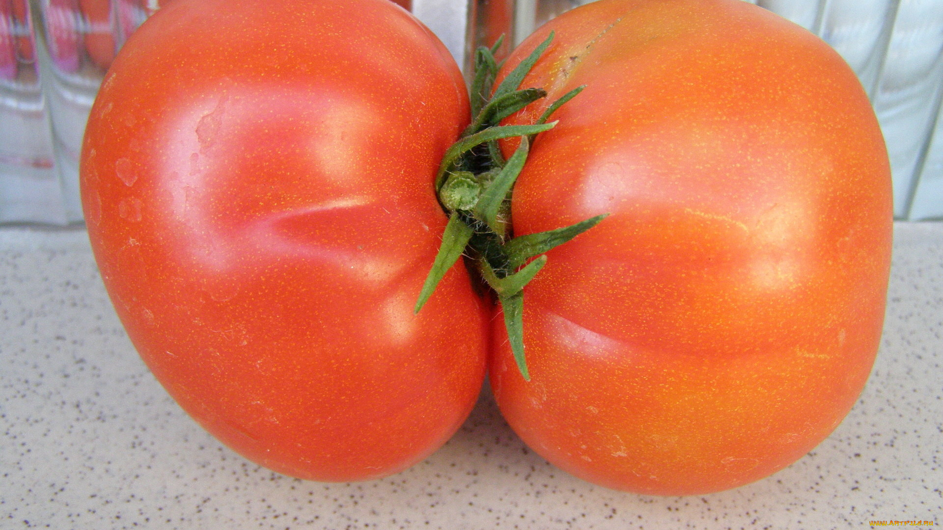 еда, помидоры, сросшиеся, томаты