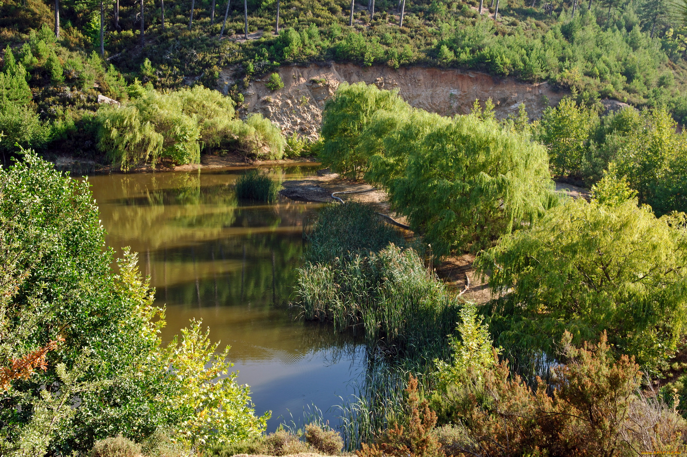 природа, реки, озера, деревья