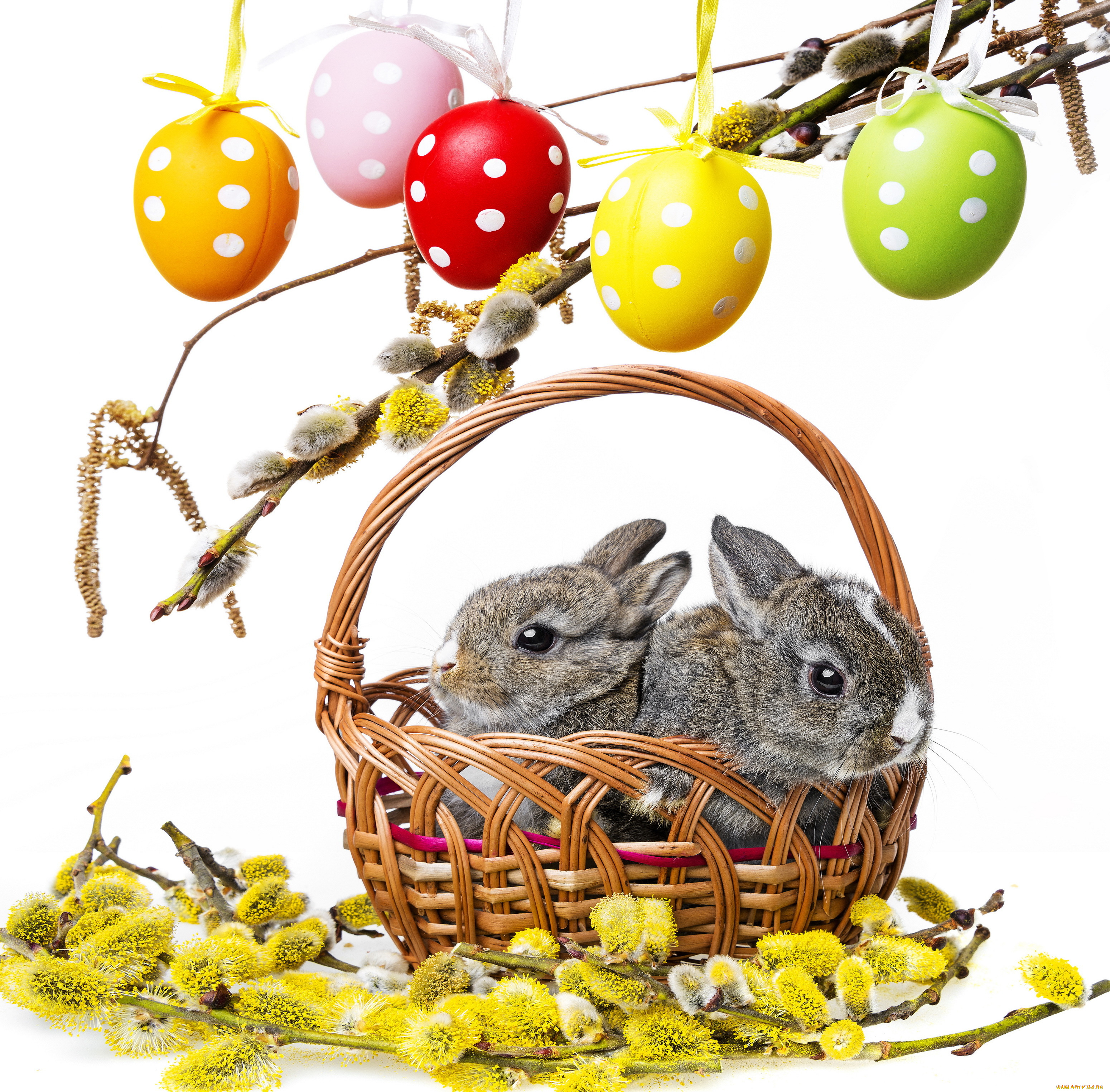 праздничные, -, пасха, easter, bunny, rabbit, spring, decoration, willow, twig, flowers, eggs, colorful, пасха, кролики, весна, верба, цветы, пасхальный, крашеные, яйца, корзина, ветки
